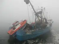 Tàu lưới vây để bán