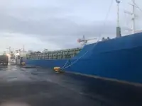Tàu chở hàng rời để bán