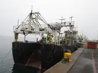 Tàu kéo lưới để bán