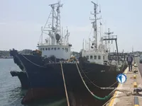 Tàu kéo lưới để bán