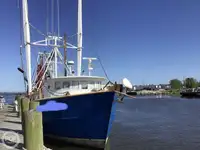 Trawler rao bán