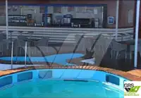 Ro-Ro ship rao bán
