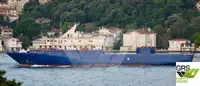 Ro-Ro ship rao bán