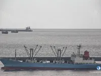 Tàu lạnh để bán