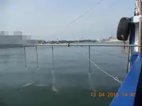 Tàu chở hàng rời để bán