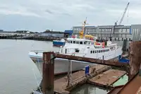 Tàu du lịch để bán