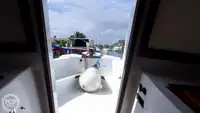 Tàu hỗ trợ lặn để bán