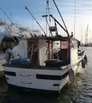 Trawler rao bán