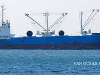 Tàu lạnh để bán