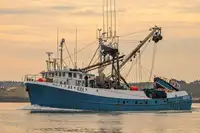 Purse seiner rao bán