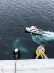Catamaran rao bán