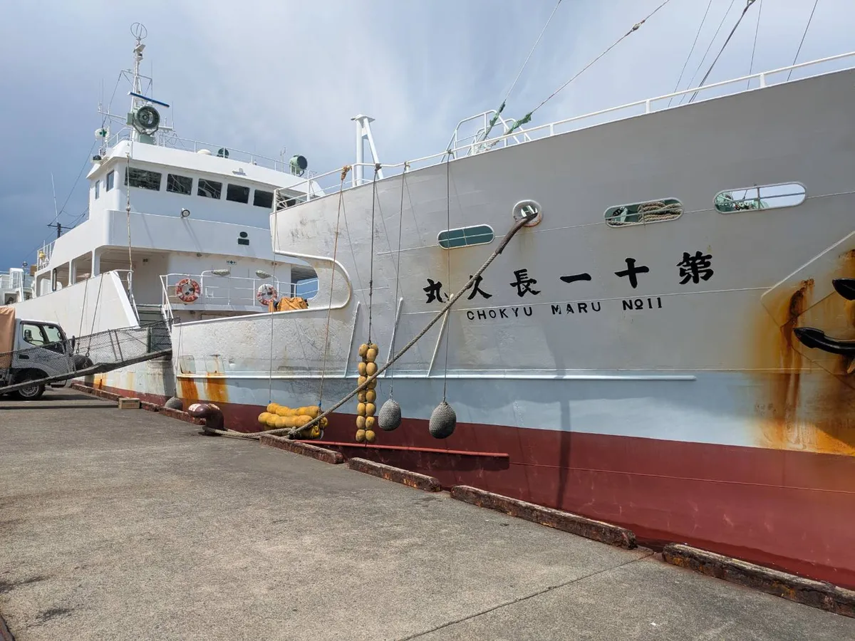 Tàu câu dài để bán