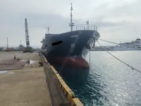 Tàu chở hàng rời để bán