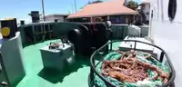 Tàu kéo để bán