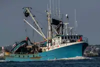 Purse seiner rao bán