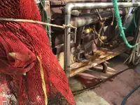Tàu kéo lưới để bán