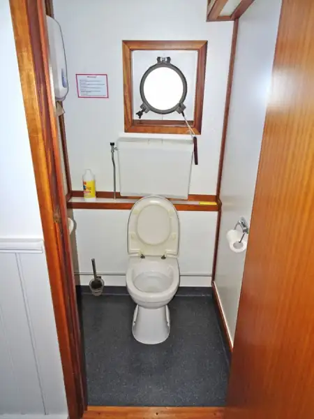 Tàu chở hàng rời để bán