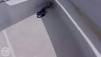 Tàu hỗ trợ lặn để bán