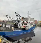 Tàu chở cá sống rao bán