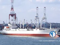 Tàu lạnh để bán
