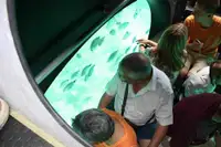 Tàu ngầm để bán