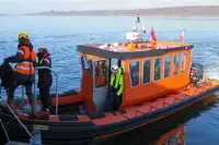Thuyền phao cứng để bán