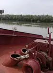 Tàu chở hàng rời để bán