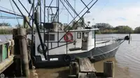 Trawler rao bán