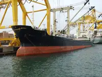 Tàu chở hàng rời để bán
