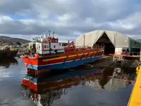 Ro-Ro ship rao bán