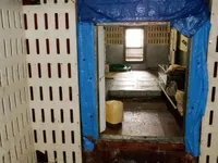Tàu câu dài để bán