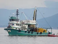Tàu lưới vây để bán