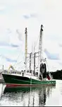 Trawler rao bán