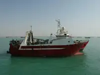 Tàu kéo lưới để bán