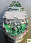 Tàu du lịch để bán