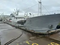 Tàu câu dài để bán