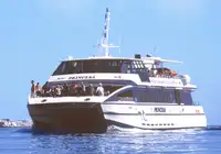 Tàu hai thân để bán