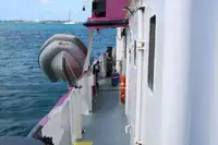 General Cargo/Multi-purpose để bán