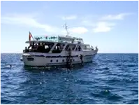 Tàu du lịch để bán