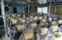 Tàu chở khách để bán