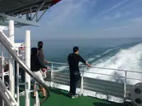 Tàu du lịch để bán