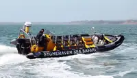 Thuyền bơm hơi cứng rao bán