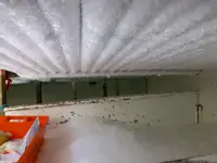 Tàu kéo lưới để bán