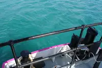 General Cargo/Multi-purpose để bán