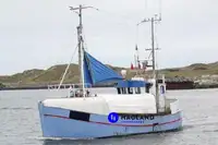 Longliner rao bán