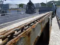 Tàu chở hàng rời để bán