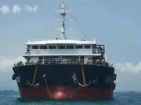 Tàu chở hàng rời để bán