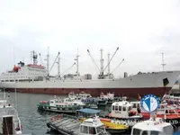 Tàu lạnh để bán