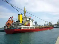 Tàu chở hàng rời để bán