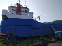 Tàu đổ bộ, chở hàng để bán